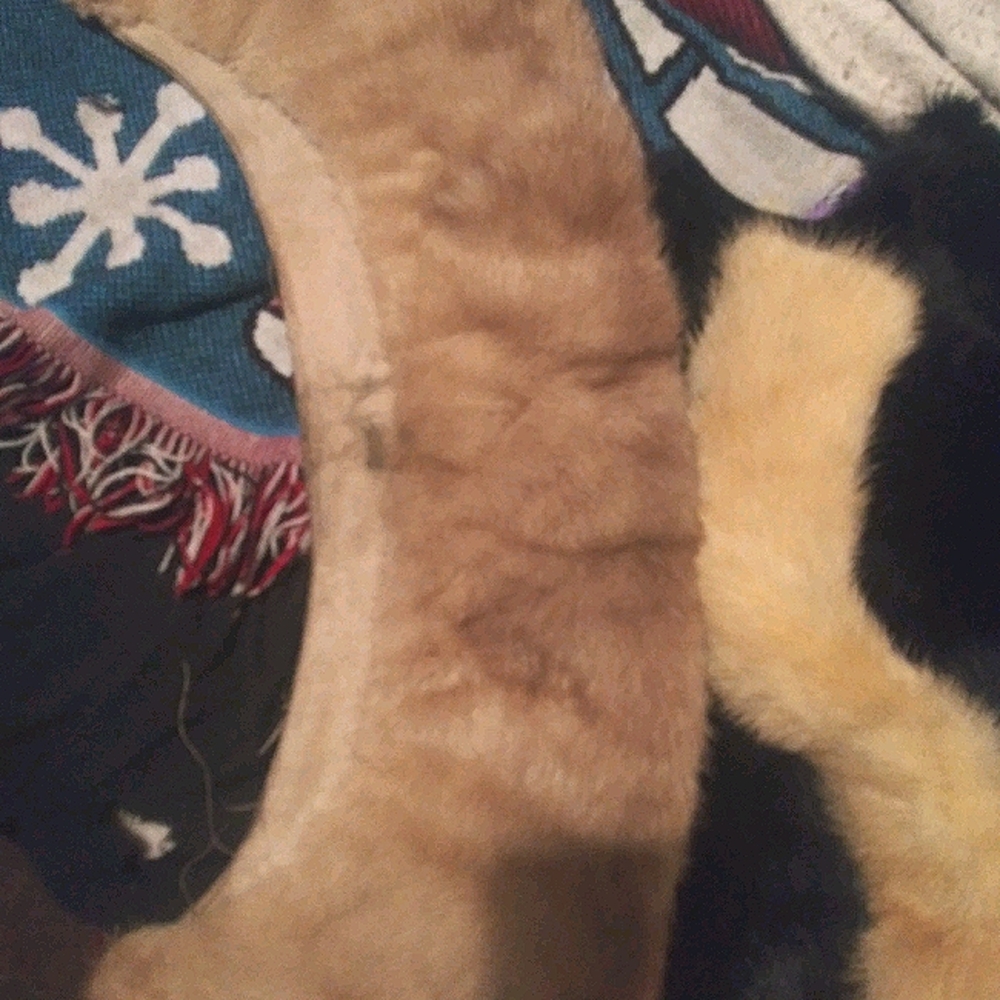 Mink scrolls